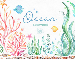 Ocean. Seaweed. Underwater watercolor clip art water plants