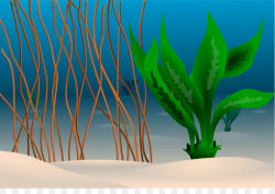 Seabed Ocean Underwater Clip art - Sea Plants Cliparts png download ...