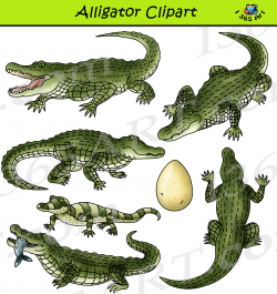 Alligator Clipart Set Graphics Download
