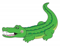 Collection of Alligator clipart | Free download best ...