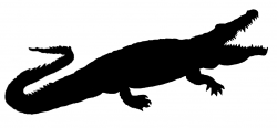 Alligator Clipart Shadow Free collection | Download and share ...