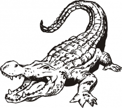 Alligator Clipart Black And White | Free download best Alligator ...