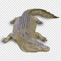 Nile crocodile Alligators Sculpture Animal, crocodile ...