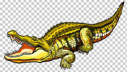 Nile Crocodile Alligator Saltwater Crocodile PNG, Clipart ...