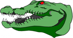 24 best gator images on Pinterest | Alligators, Crocodile and Crocodiles