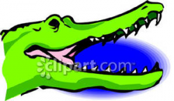 Open Crocodile Mouth - Royalty Free Clipart Picture