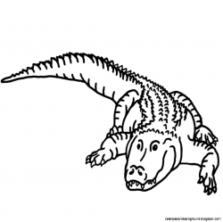 Alligator Line Drawing at GetDrawings.com | Free for personal use ...