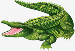 Crocodile Mouth, Hand Painted, Cartoon, Green PNG Image and Clipart ...