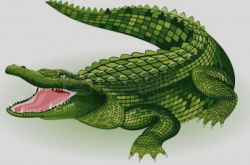 Amazing Of Crocodile Clip Art Alligator Jpg Alligators Pinterest ...