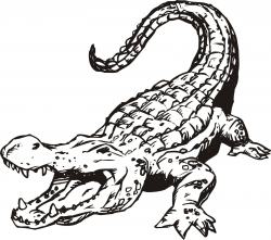 Images For > Alligator Drawing Outline | Icons - Gators in ...
