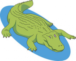 Search Results for alligator clipart reptile - Clip Art ...