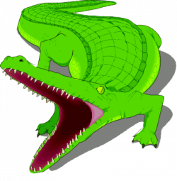 Alligator PNG Clipart | PNG Mart