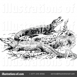 Alligator Clipart #1119567 - Illustration by Prawny Vintage