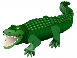 Alligators Clipart | Free download best Alligators Clipart ...