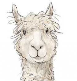 Llama watercolor painting | Watercolor, Animal and Alpacas