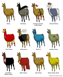 576 best I ♡ Alpacas & Llamas images on Pinterest | Alpacas, Llama ...