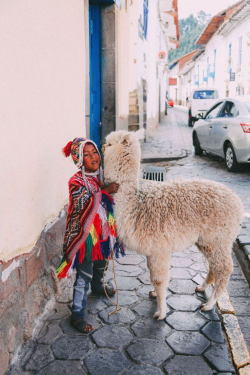78 best Llamas and Alpacas in Peru images on Pinterest | Llama ...