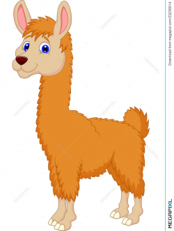 Llama Cartoon Illustration 33236614 - Megapixl