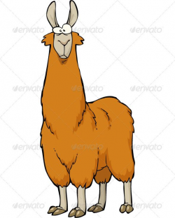 Lama | Llama alpaca, Drawings and Characters