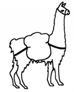 Related Pictures Llama Face Clip Art | Alpacas | Pinterest | Llama ...