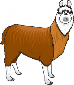Free Alpaca Cliparts, Download Free Clip Art, Free Clip Art ...