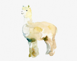 Alpaca, Hand Painted Alpaca, Drawing Alpaca, Lamb PNG Image and ...