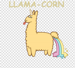 Llama Alpaca Drawing , Cute Llama transparent background PNG ...