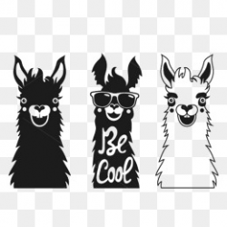 Alpaca Png, Vectors, PSD, and Clipart for Free Download | Pngtree