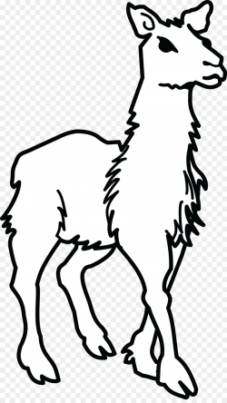 Llama Clip art - alpaca png download - 4000*7051 - Free Transparent ...