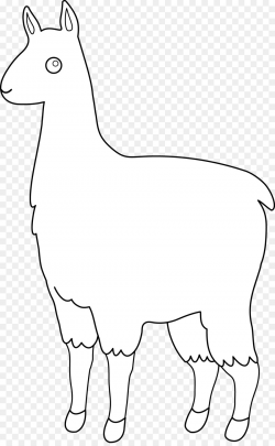 Llama Alpaca Line art Clip art - Llama Outline png download - 4994 ...