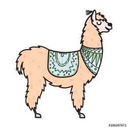 Hand drawn Peru animal, alpaca, vicuna. 