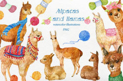Alpacas and llamas .watercolor clipart, digital clipart, cute animal ...