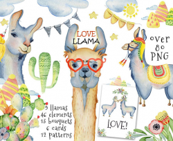 Llama watercolor clipart Alpaca clipart Watercolor llama Animal ...