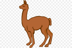 Llama Alpaca Cartoon Clip art - Llama Cliparts png download - 420 ...