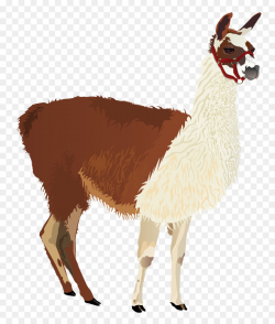Llama Clip art - alpaca png download - 1977*2313 - Free Transparent ...