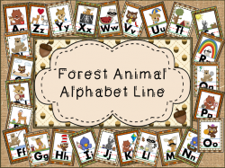 Alphabet Lines Galore for your Classroom Decor!!! - Little Warriors