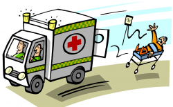 Free Cartoon Ambulance Pictures, Download Free Clip Art ...