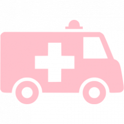 Pink ambulance icon - Free pink ambulance icons