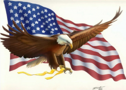 184 best Patriotic Eagles images on Pinterest | American pride ...