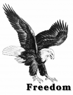 4th of July Freedom American Eagle Public Domain Clip Art Photos and ...