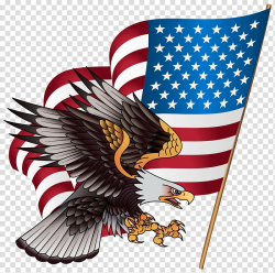 Flag of United States and American Eagle , United States T ...