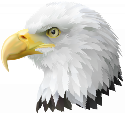 American Eagle Head Transparent PNG Clip Art Image | Gallery ...