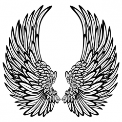 14 best Angel wings images on Pinterest | Angel wings, Angels and ...