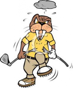 An Angry Walrus Breaking His Golf Club Clipart Picture