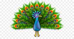 Peafowl Clip art - Peacock PNG png download - 960*681 - Free ...