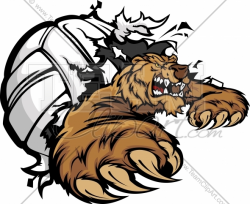 Grizzly clipart mascot - Pencil and in color grizzly clipart mascot