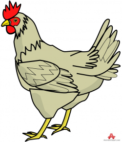 Farm Chicken Clipart | Free Clipart Design Download