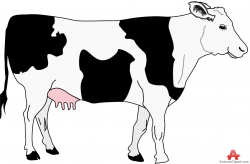 Cow with Black Spots Clipart | Free Clipart Design Download