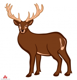 Deer Clipart Color Design | Free Clipart Design Download