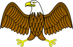 Bald Eagle Wings Clipart